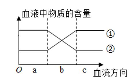 <p>16.如图为血液流经人体某结构时的物质含量变化示意图，其中a和c表示血管，b表示人体某结构，①和②表示某两种物质，关于此图叙述正确的是(    )<span data-tex=""> </span></p>