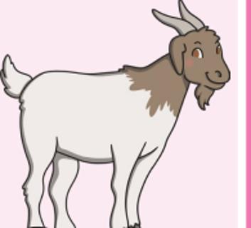 <p>What animal is it?</p>