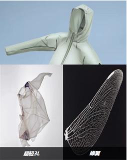 <p>关于蝉翼壳，以下描述正确的是？</p>