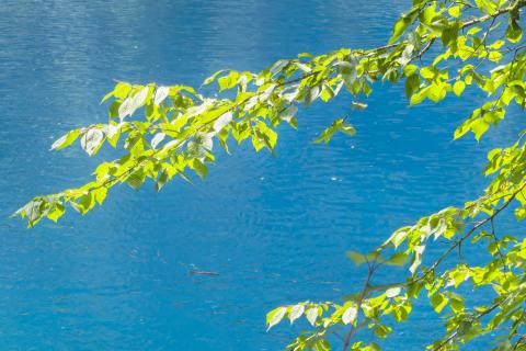 Over to you B1 Unit 3 Text A