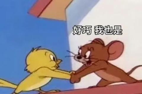 谁才是真正的爱“英”斯坦哈哈哈哈哈