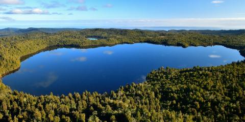 <p>Which of the following is NOT a common place to find water?</p>
