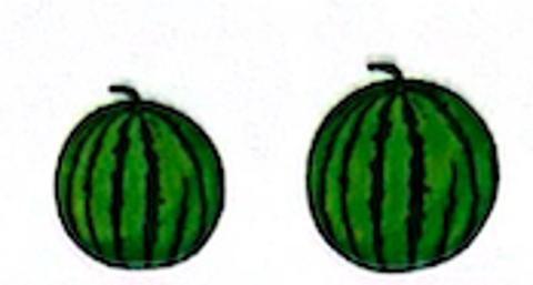 <p>第（     ）西瓜个小</p>