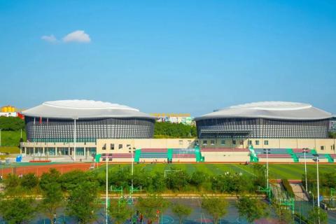 肩关节骨骼构成（公开课）