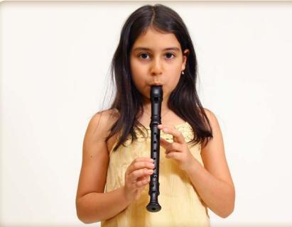 <p>(  ) into them to play them.</p>