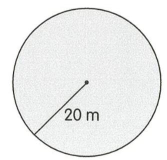<p>Find the area of each circle. (Take <span data-tex="\pi"> </span>= 3.14) (Just write the number with units)</p>