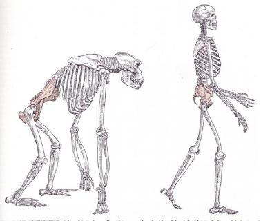 <p>Which concept is shown in this image?</p>