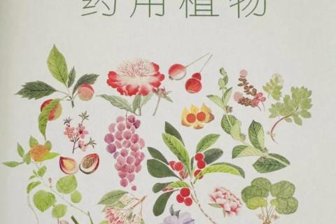 药用植物学