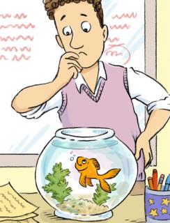<p>Which animal can be a pet?</p>