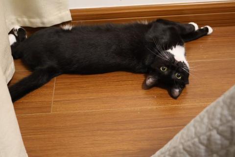 大大大豆荚-pathways2unit6