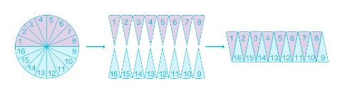 <p>如果把圆转化成长方形，长方形的长是圆周长的二分之一，也就是________。<span data-tex=""> </span>圆的面积公式是______.(用周长C和半径r表示)<span data-tex=""> </span></p>