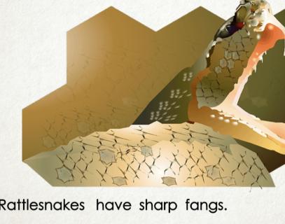 <p>What do rattlesnakes have?</p>