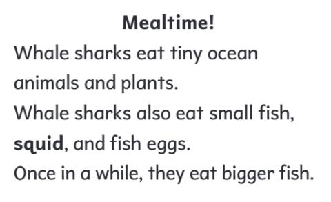 <p>what does whale shark eat?</p>