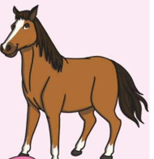<p>What animal is it?</p>
