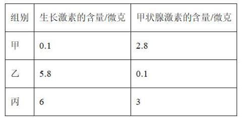 <p>某研究人员用体重相近、发育正常的甲、乙、丙3组同品种的同龄幼年雄性狗进行实验，分别切除甲组和乙组狗的某种内分泌腺，丙组不做切除处理。一段时间后测得3组狗每100毫升血清中生长激素和甲状腺激素的含量如下表所示。下列相关推测错误的是</p>