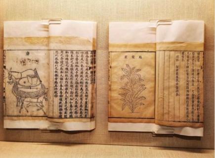 <p>Why was paper an important invention in ancient China? 多选题</p>