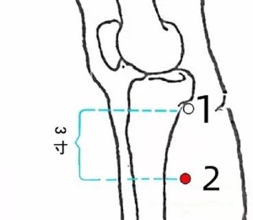 <p>穴位1的名称</p>