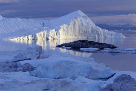 <p>what's this habitat?</p>