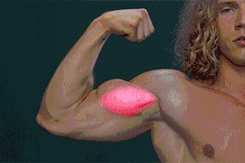 健康与康复医学知识测验