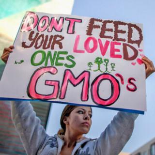 GMO will not help eliminate world hunger (Video 1)