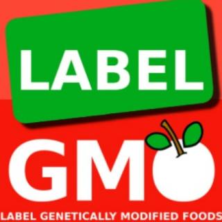 There are no conclusive safety studies on GMOs.