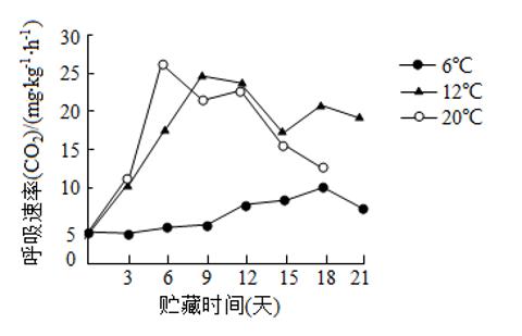 <p>果实采收后放置一段时间会出现呼吸高峰这是果实成熟的标志。如图为不同温度条件下&#xff0c;番茄果实呼吸速率与贮藏时间的关系&#xff0c;有关叙述正确的是&#xff08;　　&#xff09;<span data-tex=""> </span></p>