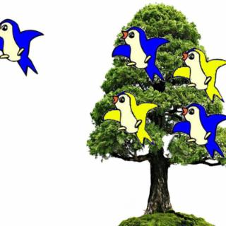 树上有5只鸟，飞走了一只，还有几只？