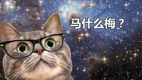 <p>“太后不肯&#xff0c;大臣强谏”中“强”的读音为</p>