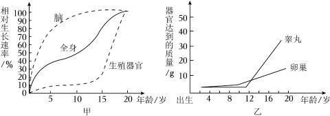 <p>如图甲所示是人的生长曲线示意图，图乙是男女性器官质量变化示意图，据图分析，下列说法正确的是（　　）<span data-tex=""> </span></p>