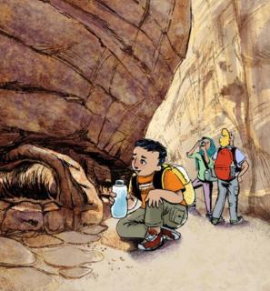 <p><strong>How do visitors usually enter Petra?</strong></p>