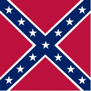 上图是以下哪个组织的旗帜 The flag is representing ___&nbsp;