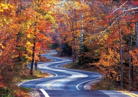 <p>This is a long and _______ road.</p>