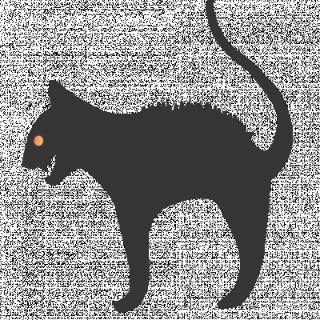 <p>What&#39;s the original belief of the black cats?</p>