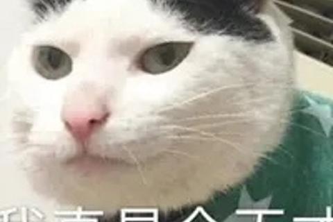 托收承付