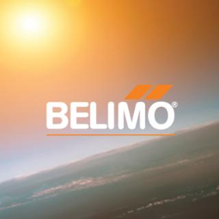 <span>Belimo 成立于哪一年？ </span>