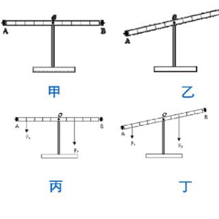 如图所示，杠杆甲、乙、丙、丁都处于静止.此时哪些杠杆处于平衡状态？