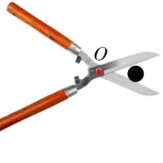 <span>剪刀修剪树枝时，常把树枝尽量往剪刀轴O处靠近，这样做的目的</span>