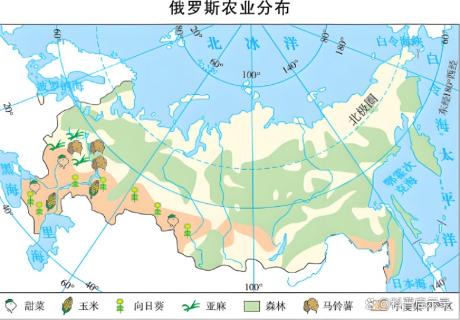 <p>关于俄罗斯农业的叙述正确的是</p>
