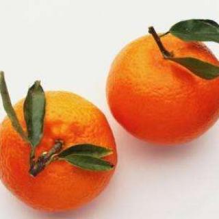 橘里橘气用于形容