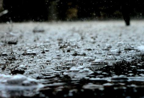 <p>Which is NOT a form of precipitation?</p>