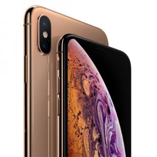 T/F: I have bought an iPhone xs&nbsp;last month.