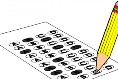 Standardized Tests Quiz