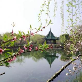 “ 现在 都是 春天了。” 是什么意思？