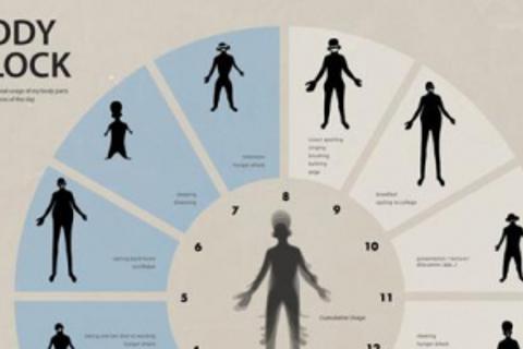 第九课生物钟复习