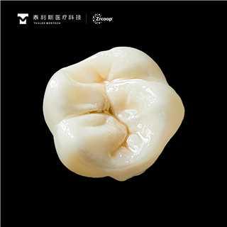 <p>泰利斯是用什么材料进行打印&#xff1f;</p>