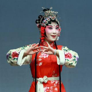 以下关于该角色叙述<b>不</b>正确的是