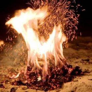 Which one is not a combustion?