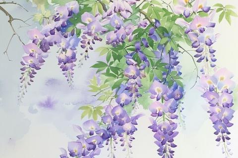 紫藤萝瀑布随堂小测
