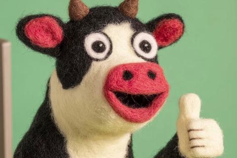 读书会趣味挑战赛！