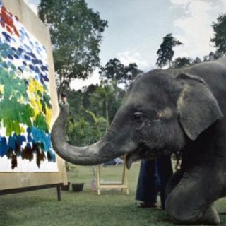What is this clever elephant doing?